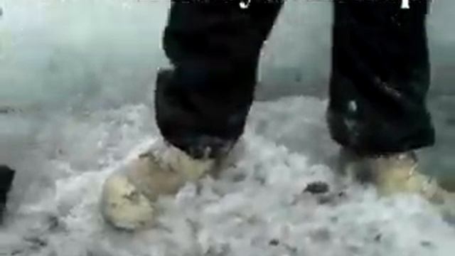 Странное животное найдено в Антарктиде в 2005 году смотреть онлайн