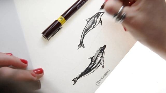 Изографы Rotring в работе. Рисую дельфинов.