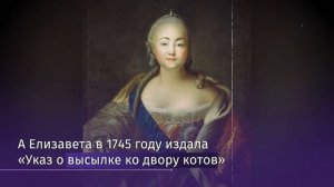 Акция по раздаче эрмитажных котов прошла в Петербурге