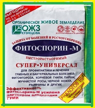 Как правильно развести фитоспорин, чтобы не тратить лишнего - показываю на своем рабочем растворе