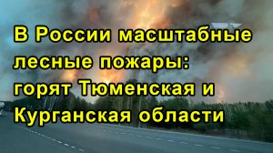 В России масштабные лесные пожары: горят Тюменская и Курганская области