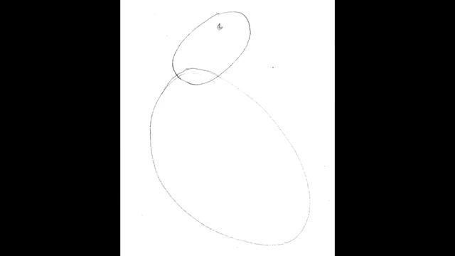 Как нарисовать ПОПУГАЯ? (Волнистый попугай+попугай в необычной позе) смотреть онлайн