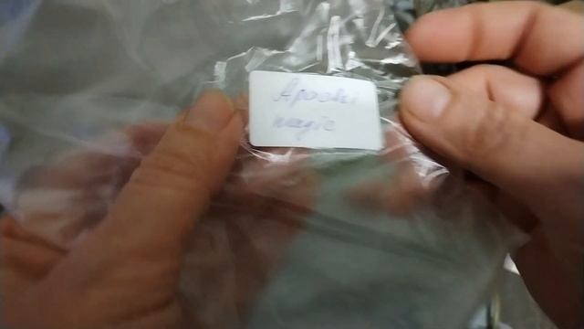 Побывала в гостях, пополнение цветочных рядов. ? смотреть онлайн