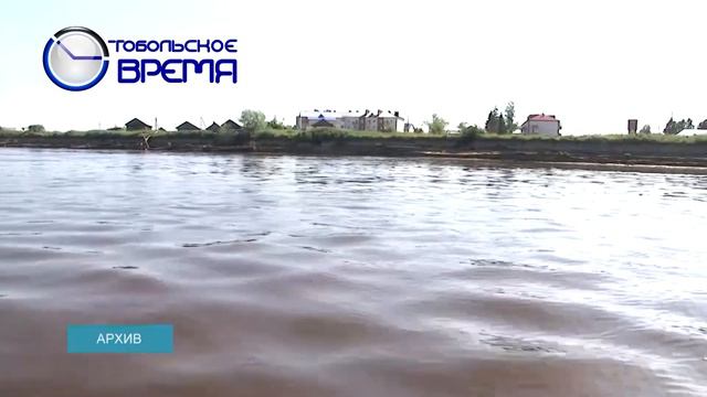 ЭЛИТНЫЙ ТЕПЛОХОД смотреть онлайн