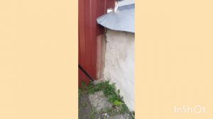 Вандализм в Мичуринске (31 июля 2024)