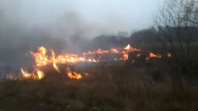 горящие поля россельхозакадемии в хабаровске смотреть онлайн