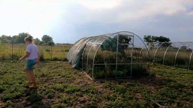 Мини-экскурсия по центру реабилитации хищных птиц смотреть онлайн