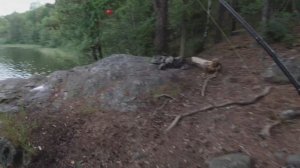 Ловля на попла поппер. Оснастка попла поппер. Это легко!!!