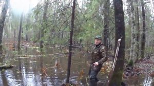 Маленькие хитрости установки капкана на дереве. Small cunnings of installation of a trap on a tree.