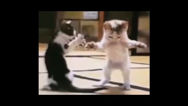 НЕ СМОТРИ ЭТО ВИДЕО... смотреть онлайн