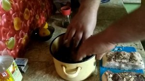 Солим сало