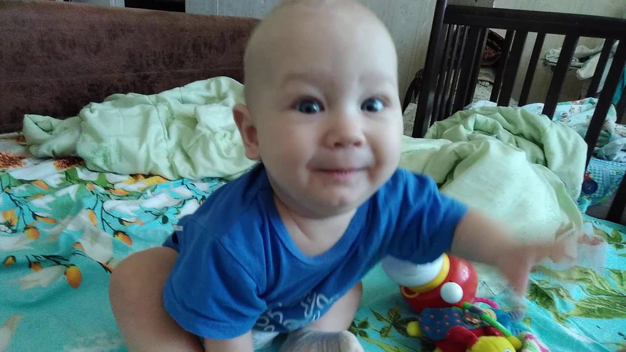 Мишка шишка смотреть онлайн