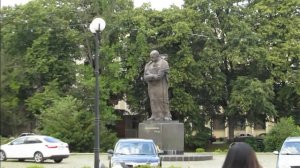 Когда цветёт тюльпановое дерево...