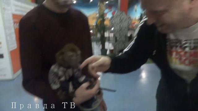 Нальчик!!! ДЕЯ для детей!!!