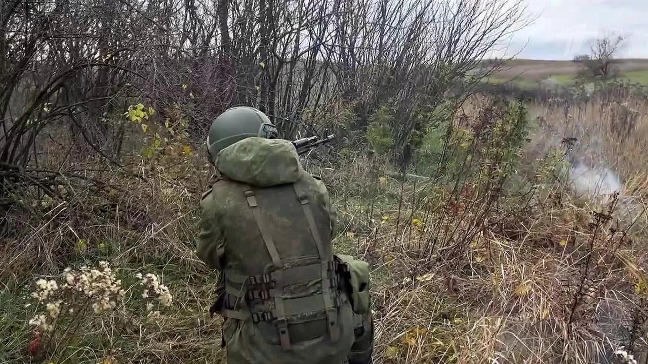 Почти три сотни целей поразили российские военные за сутки в зоне проведения СВО