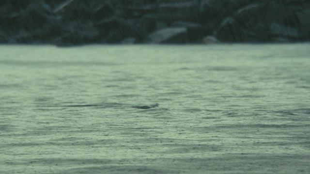 Oceans