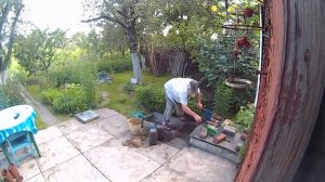 Как сделать настойку из чеснока. Куда деть чесночные стрелки