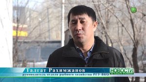 Запрещенные рыболовные сети