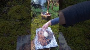Salmon fillet wrapped like a mummy 😉 ASMR Camp Fire Cooking 🔥