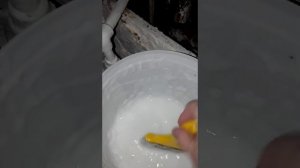 Виниловые обои на флизелиновой основе можно клеить в ванной комнате. Кафель заклеить обоями.