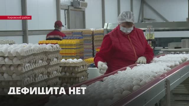 Дефицита нет: Ленобласть сможет обеспечить куриным мясом и яйцом не
только жителей региона