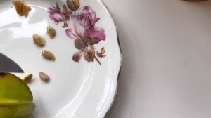 Карамбола экзотический фрукт. В домашних условиях. Посев семян.
