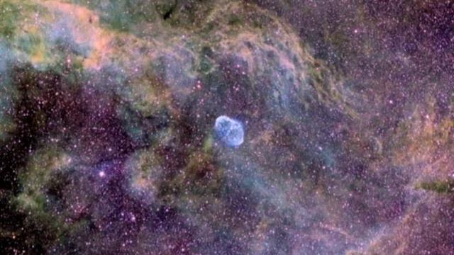 Cygnus смотреть онлайн