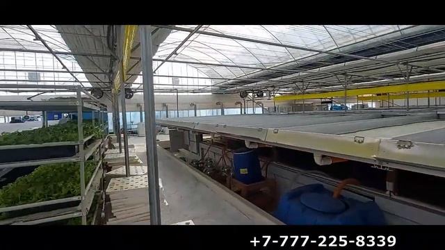 Очистка воды для гидропоники смотреть онлайн