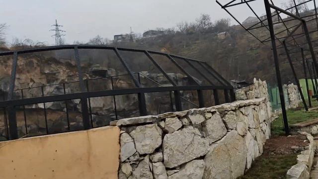 Прогулки по Еревану.Ереванский зоопарк.Часть вторая.от Оленей до Львов