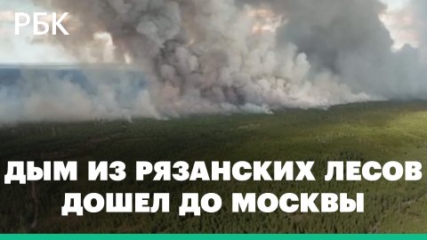 Москву окутал едкий дым от лесных пожаров под Рязанью. Кадры очевидцев