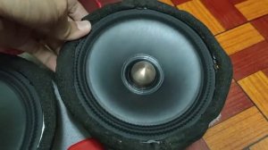 Door speaker Alpine DDL-R170S