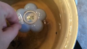 Проверка водного термометра