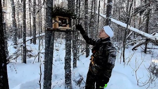 Выставление гуманного путика. Ящичные капканы. Проверка мордушки и жерлиц. смотреть онлайн