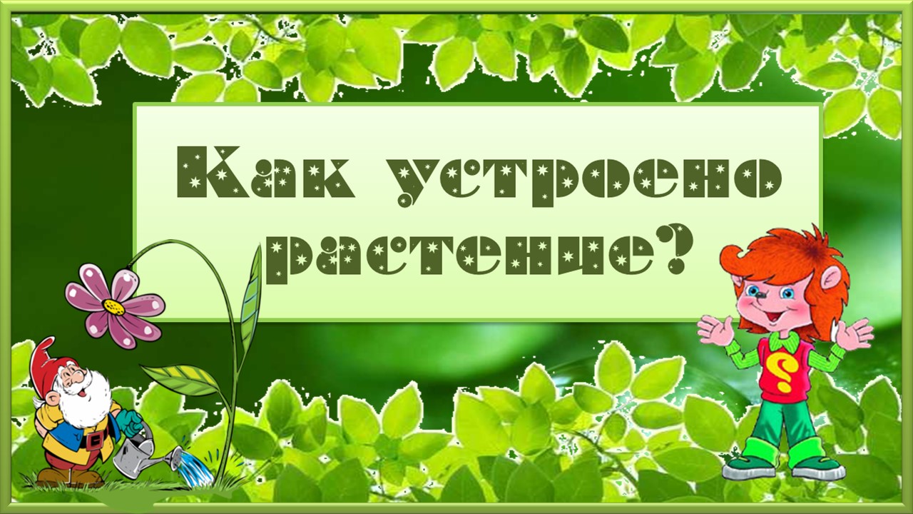 Клуб Почемучек. Как устроено растение