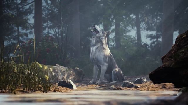 Что нужно знать перед покупкой игры Icarus смотреть онлайн