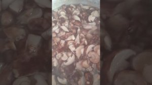 маринуем подтопольники(рядовка тополевая)