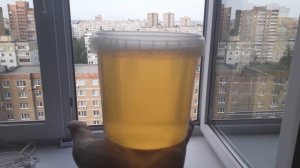 Цена на мёд белой акации