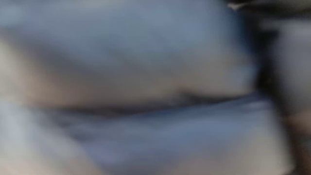 ЖОЛ ЖЭЭГИНДЕГИ АРЗАН УНААЛАР | ЗЫНК БМВХ5 СРОЧНО САТЫЛАТ | АВТОРЫНОК БИШКЕК! смотреть онлайн