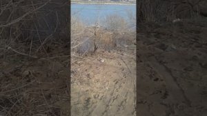 Рыбалка на Селенге и не только 2023 - 1 мая 2-я часть