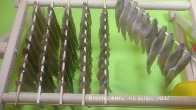 КОРЮШКА ПРОВЕСНАЯ за 2 дня / Smelt Suspended in 2 days