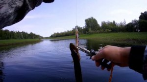 Ловля щуки на# воблеры#кастинг# рулит