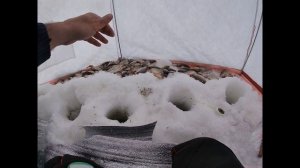 Ловля карася Зимой со льда. Нереально бешеный клев!!!