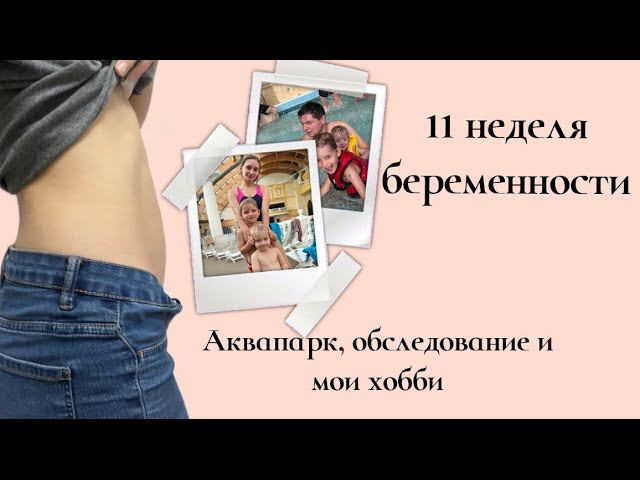11-12 неделя беременности Аквапарк, обследование и хобби
