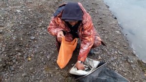 Водохранка 12.11.2017