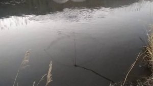 Рыбачим на зыбку!