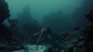 Кто такие Плезиозавры и Плиозавры (Plesiosaurus)