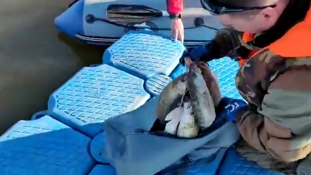 база ФораФиш, встречаем гостей с рыбалки смотреть онлайн