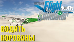 Microsoft Flight Simulator 2020 (NeoFly) - Водить корованы