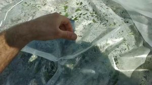 Вторая версия  как сделать крышку, купол на уличный бассейн.