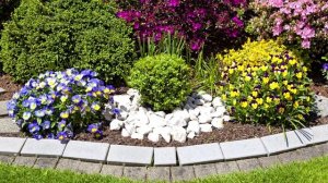 Клумбы и цветники осенью | Советы садоводу